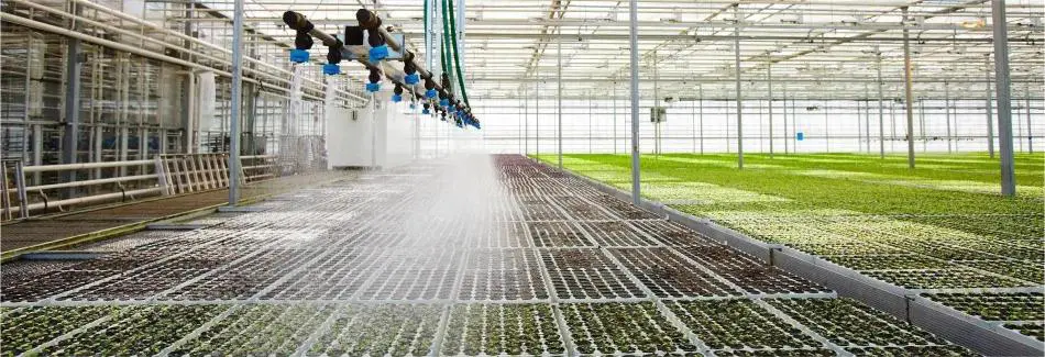 農業灌漑システム 作物への散水 農地農業