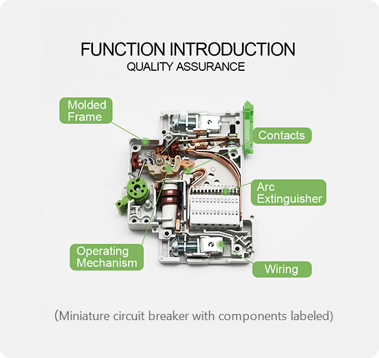 Circuit breakers & Switches TONGOU Electrical